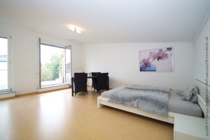 reiheneckhaus_buchloe_dachstudio2